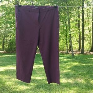 George Plum Cropped Pants Side Pockets Sz 16